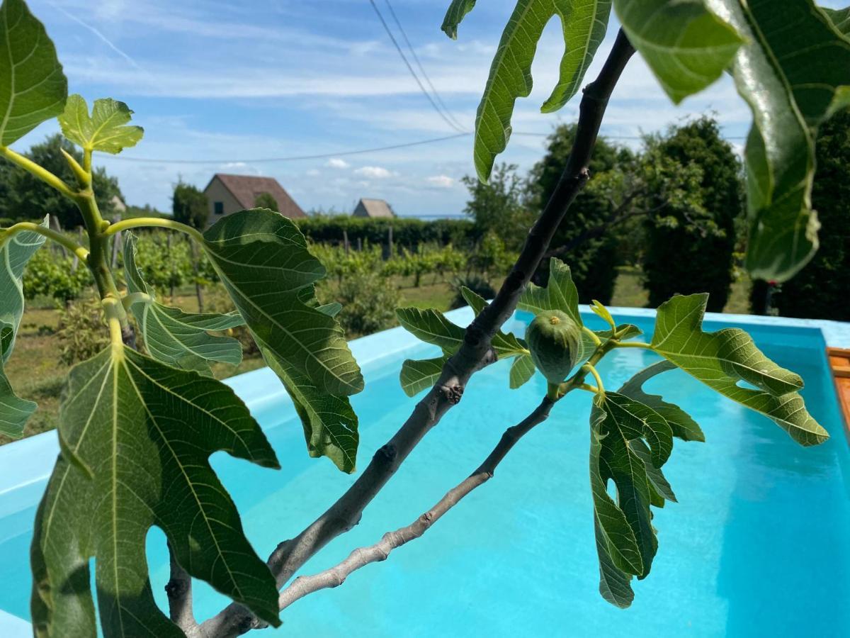 Fuege Vendeghaz Villa Lovas Luaran gambar